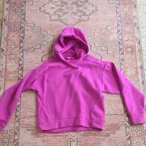 DSG girl's Vibrant Purple Hoodie Sweater